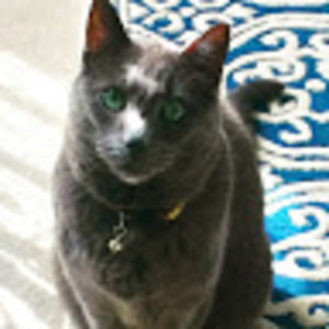 Meet your Posher, Gemma